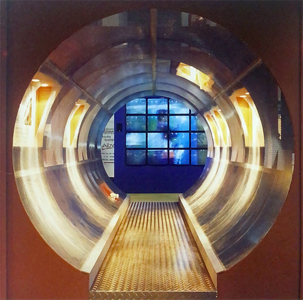 Ecomed展會設計！