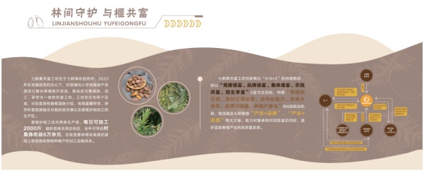 七都果共富工坊展廳設(shè)計(jì)